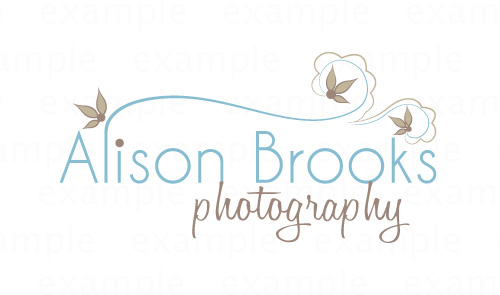  - alison-brooks-logo1_sue-hutchings1