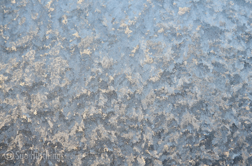 ice patterns by Sue Hutchings