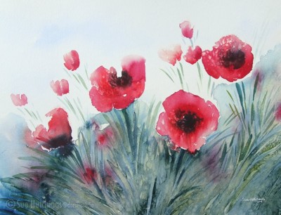 Water colour poppies demonstration « dorsetstudio.com